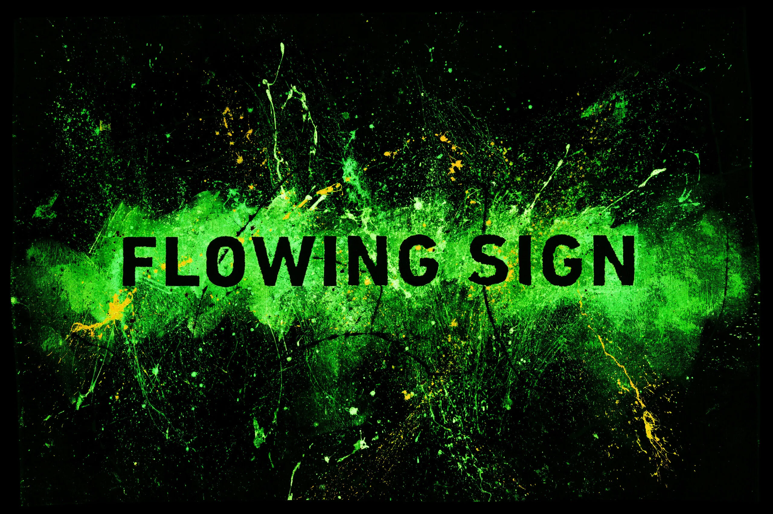 Holger Schmidhuber – Bild 2